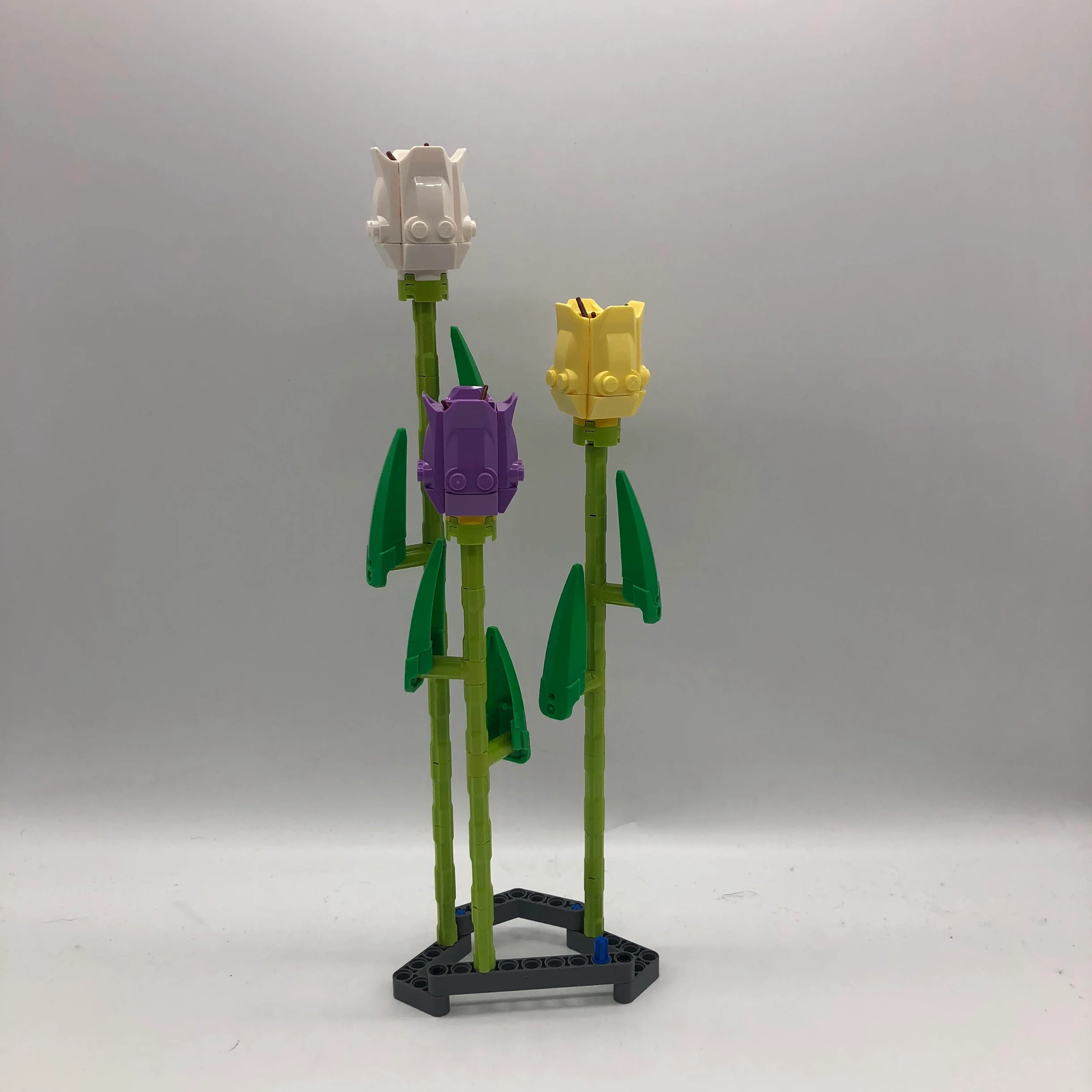 40461 Tulips [USED]