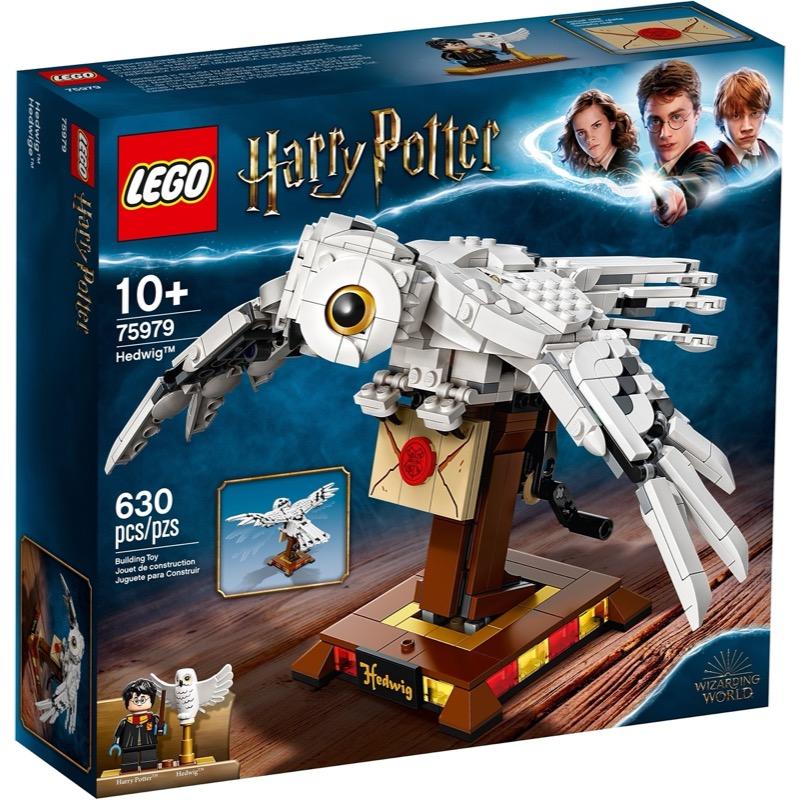 75979 Hedwig [CERTIFIED USED]