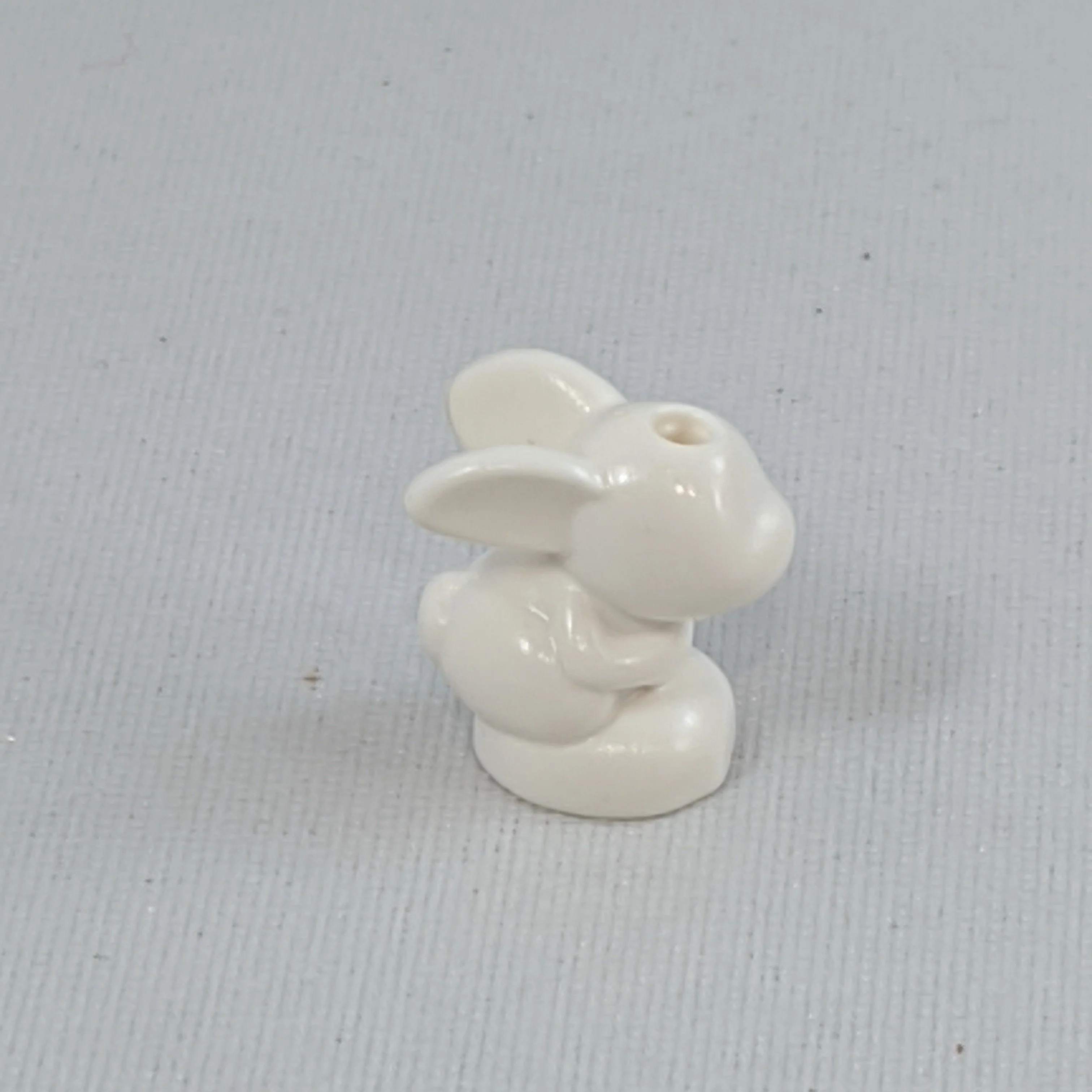 Bunny/Rabbit