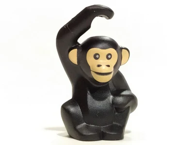 Chimpanzee