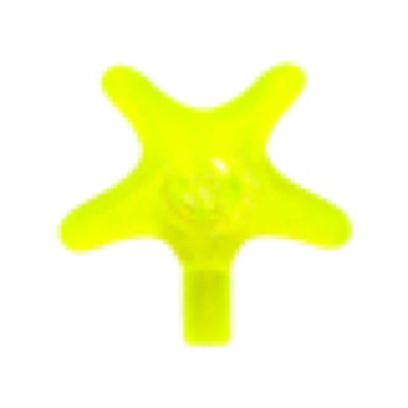 Starfish / Sea Star